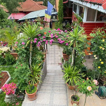 Casa Nicoli Guest house