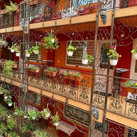 Guest house Casa Nicoli Baile Olanesti